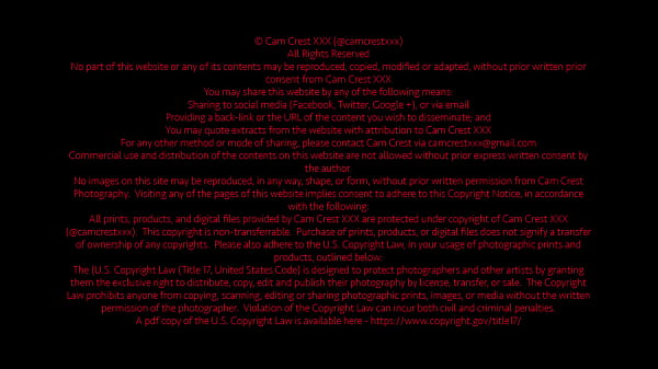 Cam Crest takes Raw Lady Dick in his Sluthole